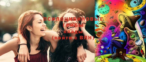 дживик Алексеевка