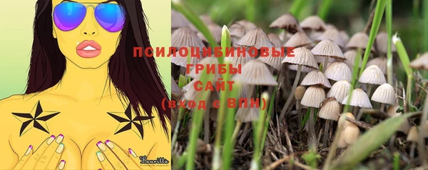 PSILOCYBIN Алексин