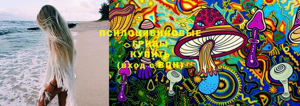 дживик Алексеевка