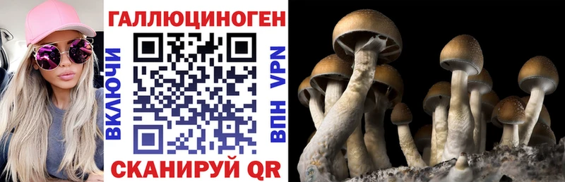 цена   Большой Камень  Псилоцибиновые грибы ЛСД 